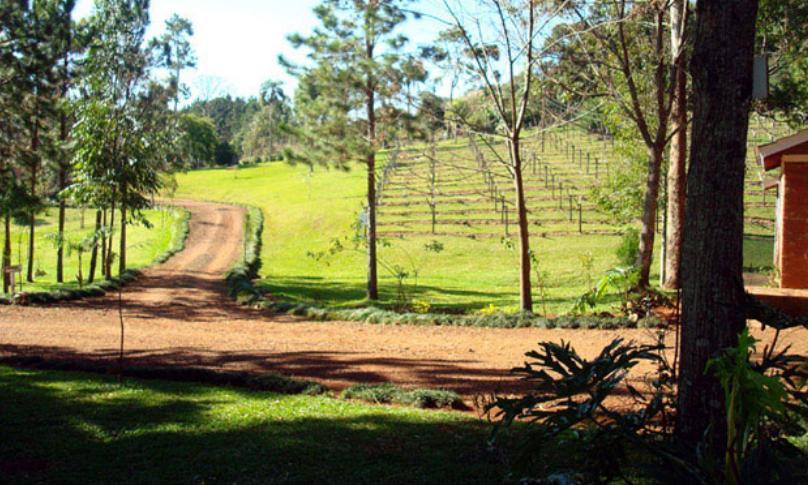 Lodge Mocona Dos de Mayo